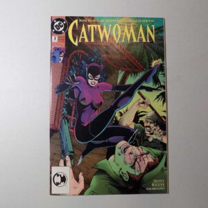 Picture of The Catwoman Comic Book