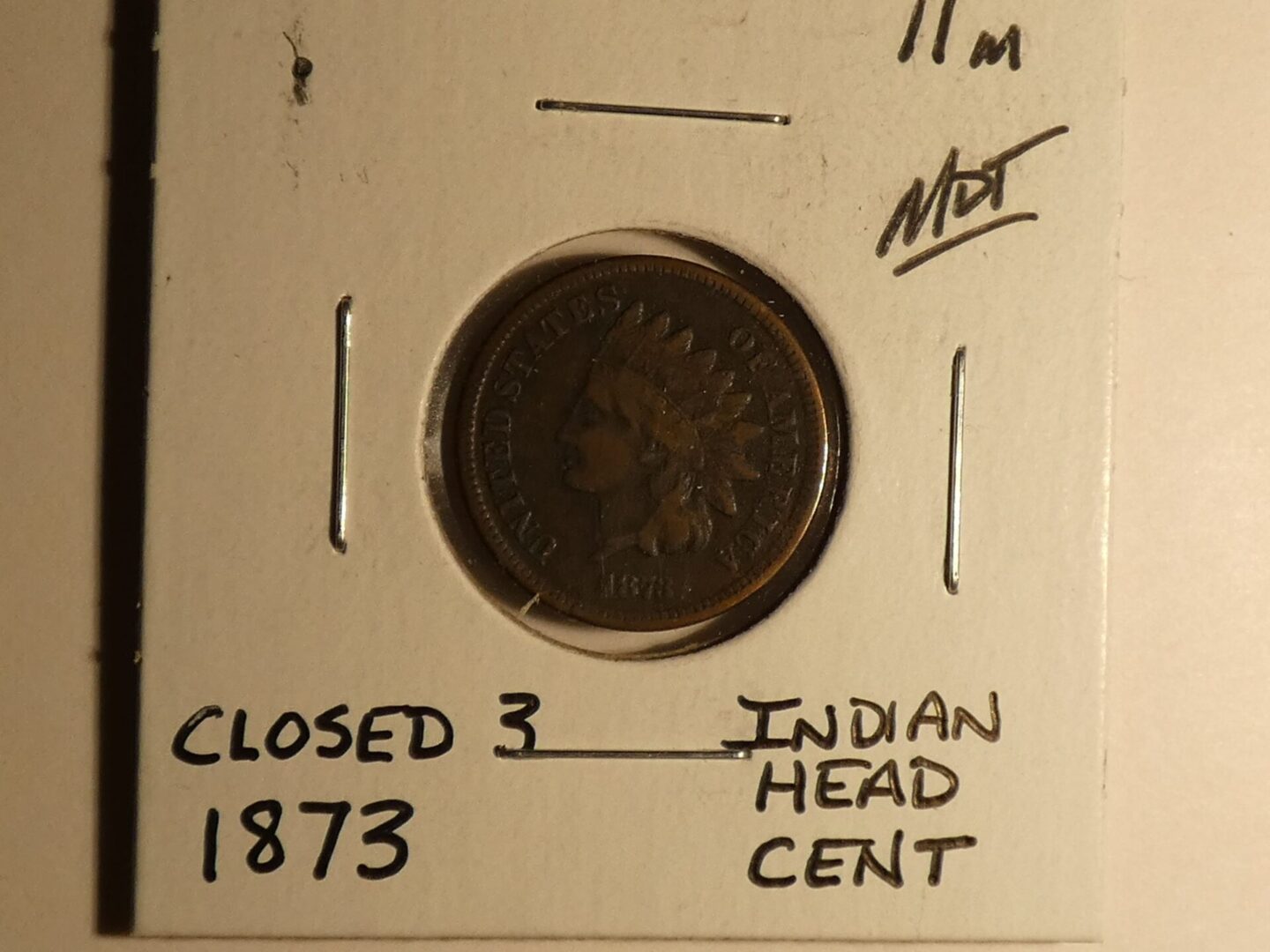 1873 Indian Head copper cent coin.