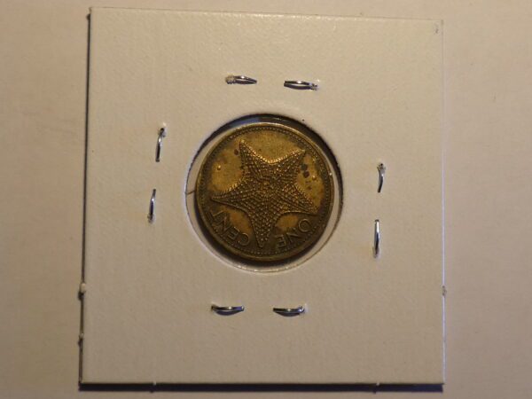 One cent coin with starfish design.