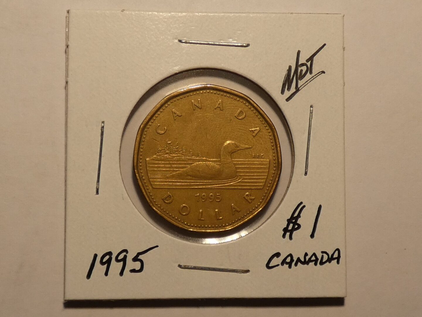 1995 Canadian one dollar coin with loon.