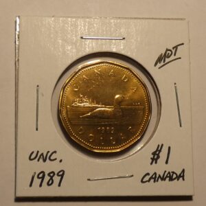 1989 Canadian one dollar coin.