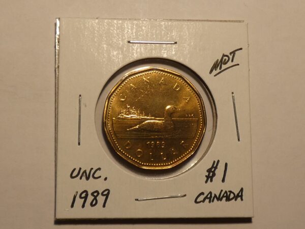 1989 Canadian one dollar coin.