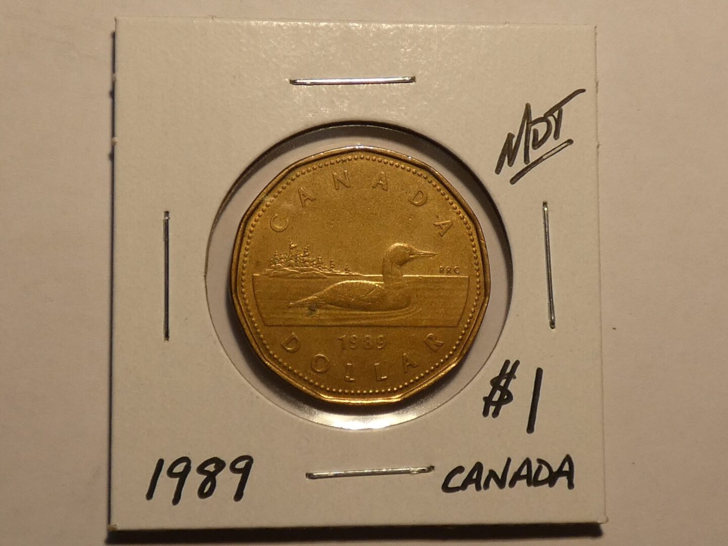 1989 Canadian one dollar coin with loon.