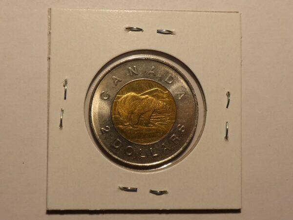 Canadian two dollar coin with a polar bear.