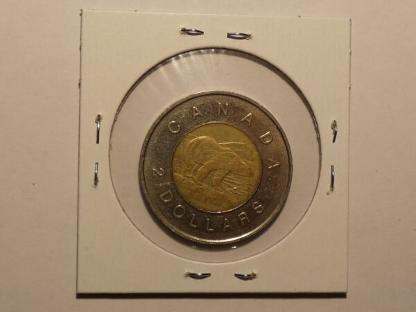 Canadian two dollar coin with a polar bear.